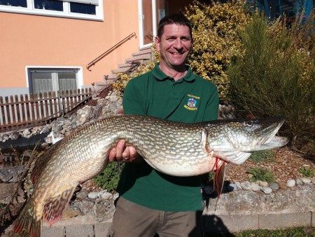 Größter Hecht der Vereinsgeschichte :: anglerverein-wachenroth.de